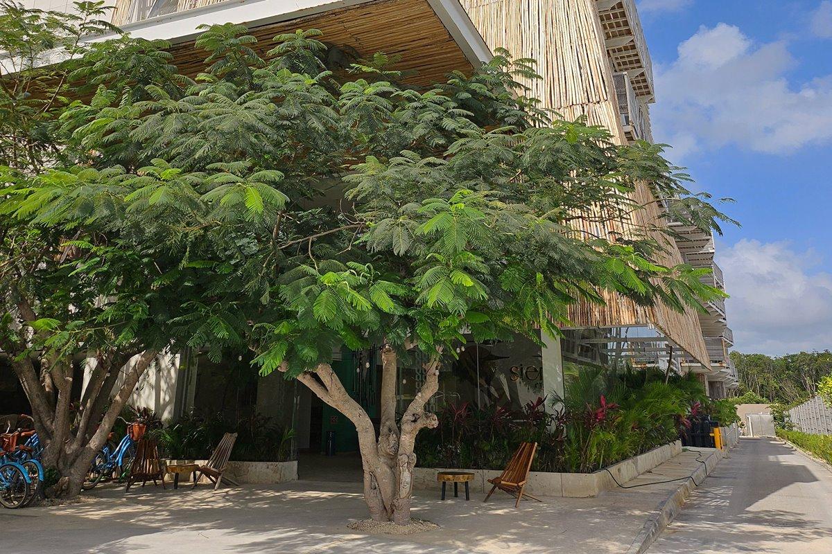 Siente Tulum Hotel Eksteriør billede